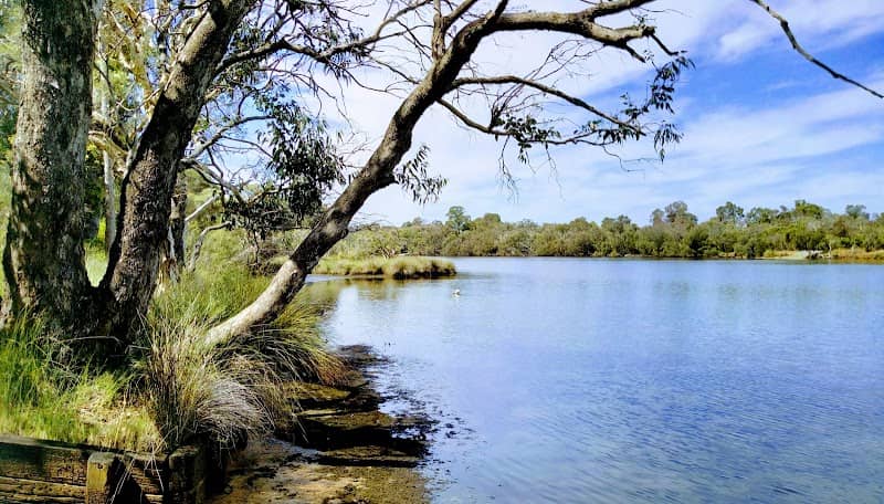 Leicester Reserve - Image 2