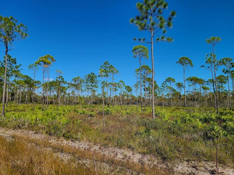 St. Joseph Bay State Buffer Preserve Visitor Center - Image 2