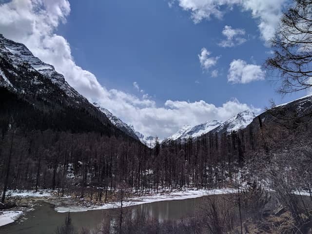 玛嘉 - Image 2