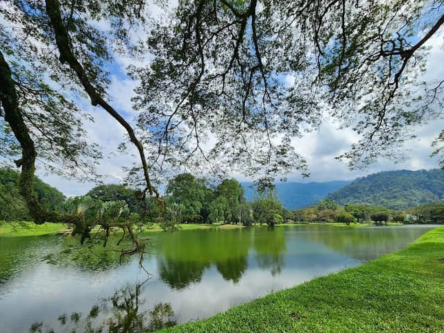 Taiping Lake Gardens - Image 1