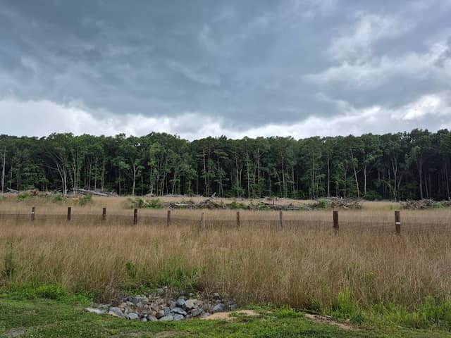 Irvins Creek Greenway (Idlewild Rd Park Entrance) - Image 3