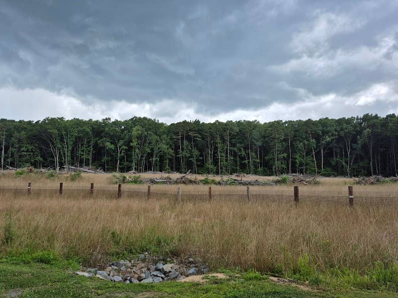 Irvins Creek Greenway (Idlewild Rd Park Entrance) - Image 3
