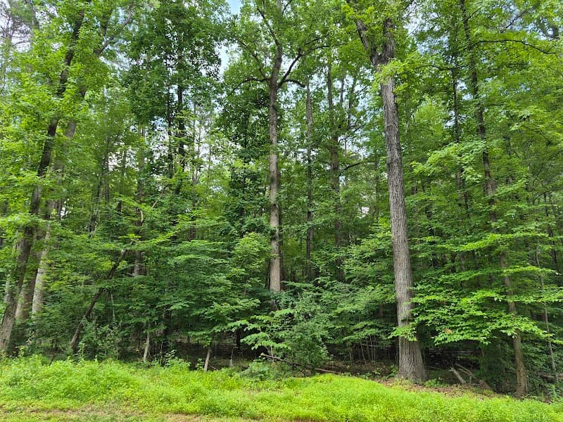 Irvins Creek Greenway (Idlewild Rd Park Entrance) - Image 2