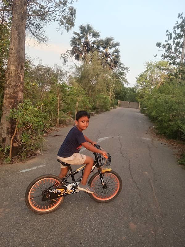Thal park - Image 1