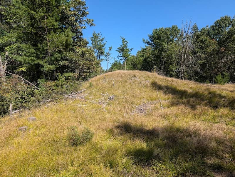 Cranberry Creek Mound Group State Natural Area - Image 1