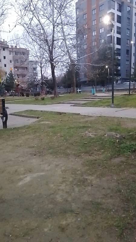 Condition Park - Image 1