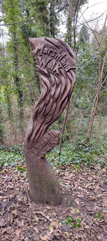 Sots Hole Nature Reserve - Image 2
