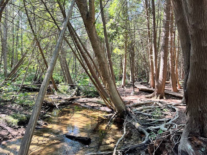 Leo Creek Preserve - Image 1