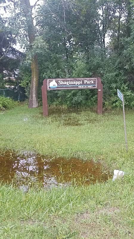 Shaginappi Park - Image 1
