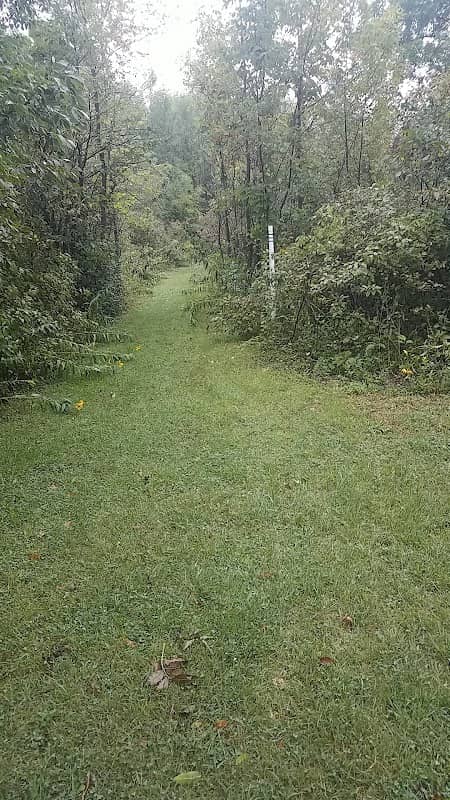 Shaginappi Park - Image 2