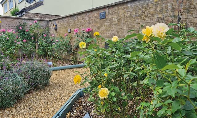 The Rose Garden - Image 1