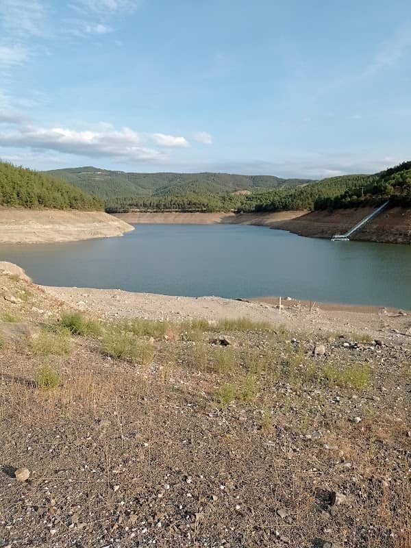 Osmangazi Forest - Image 1