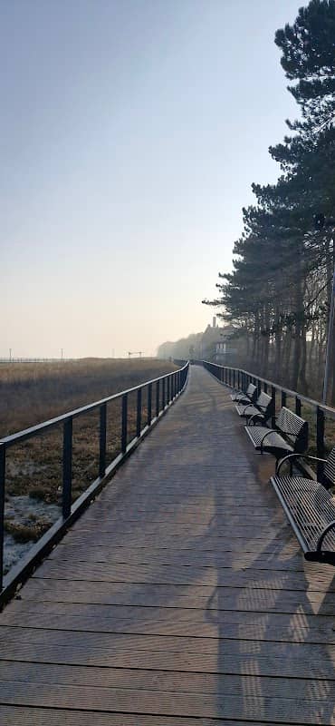 Dünenpromenade Zingst - Image 2