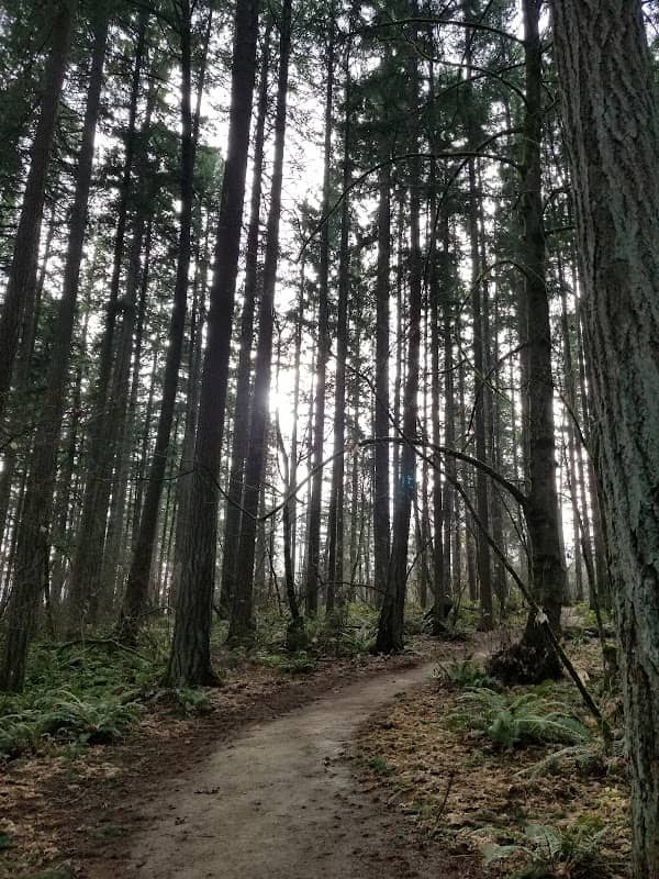 Hyland Forest Park - Image 1