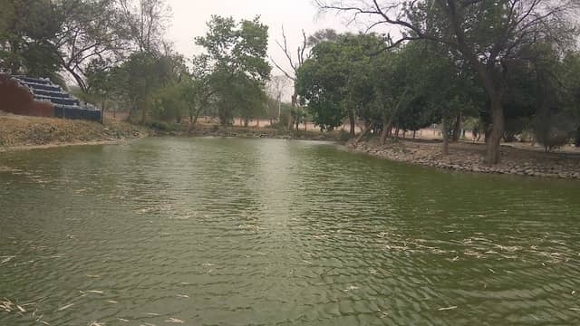 Albert Ekka Nature Park - Image 1