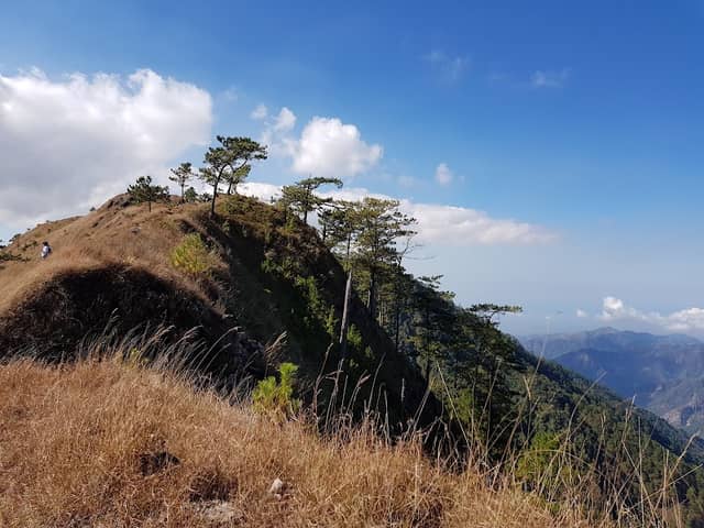 The Plateau - Image 1