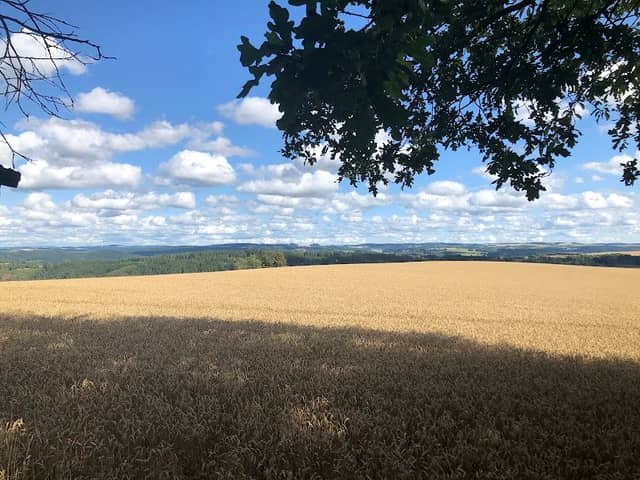 Aussichtspunkt Sternmühltal - Image 2