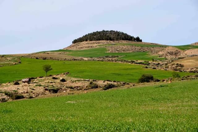 سيدي الطيار - Image 1