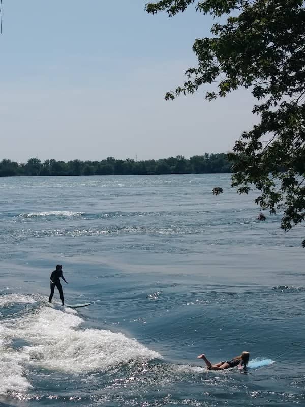 Vague à Guy - Image 2