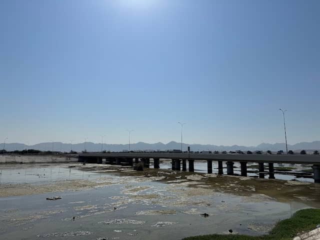 Flamingo's Point - Image 2