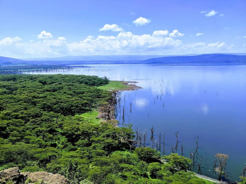 Lake Nakuru National Park - Image 2