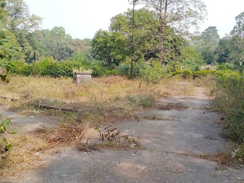 चिल्ड्रेन पार्क - Image 1