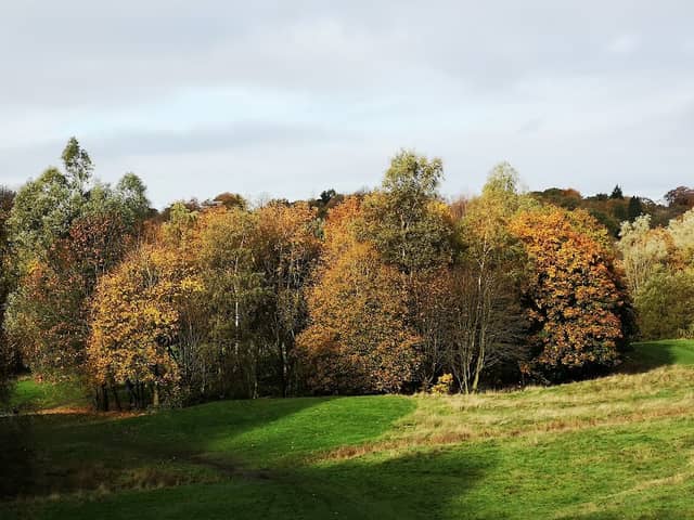 Longsight Park - Image 2