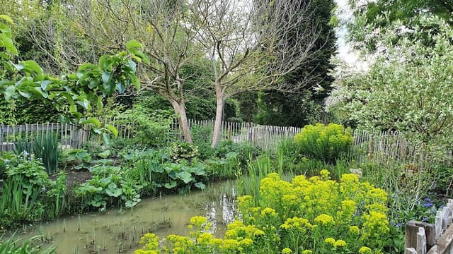 Botanical Garden - Image 2