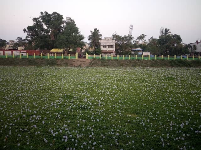 Kittu Park - Image 1