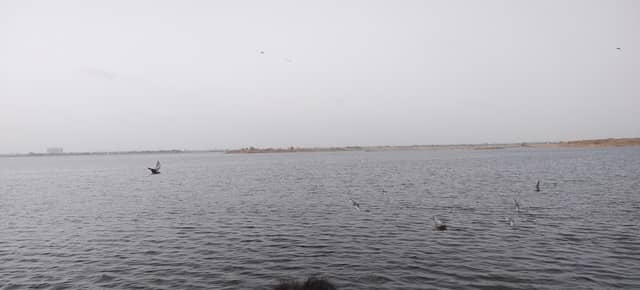 Nyari Dam Garden - Image 1