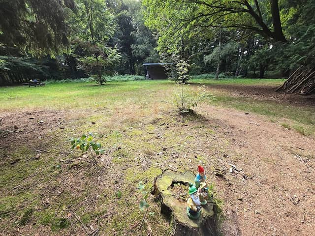 Kabouterbos - Image 2