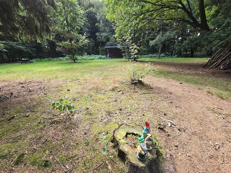 Kabouterbos - Image 2