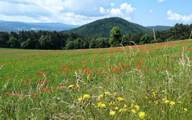Marterl - Image 1
