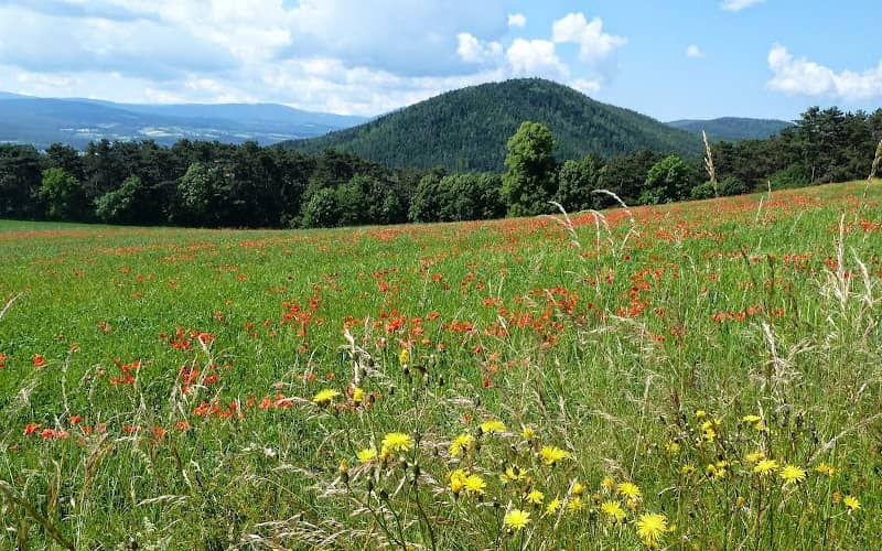 Marterl - Image 1