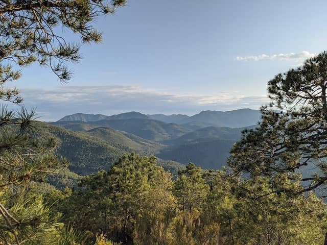 Cim del Montí - Image 1