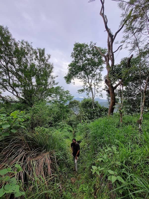 Chirathalattu Hill Station - Image 3