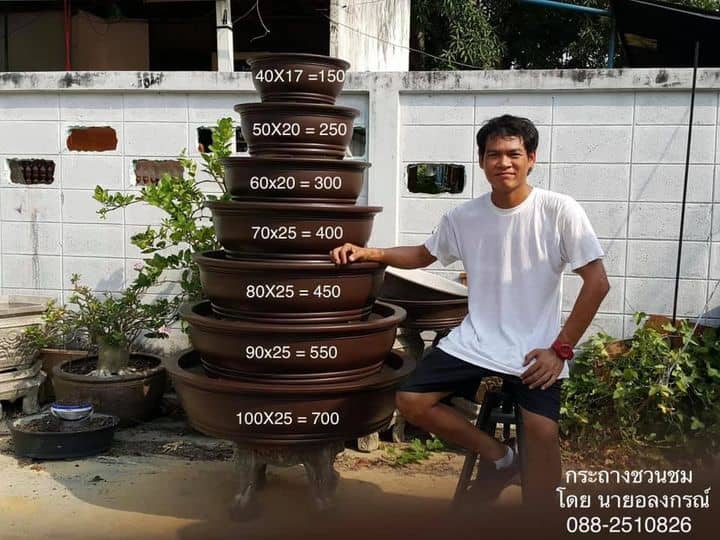 กระถางชวนชมโดยนายอลงกรณ์ - Image 1
