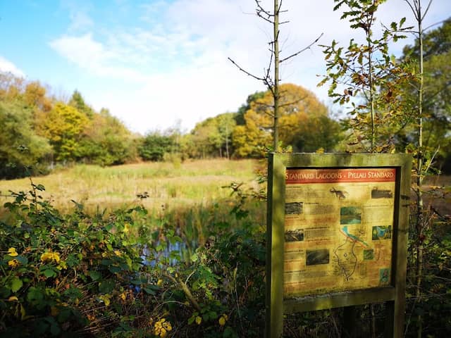 Standard Lagoons - Image 1