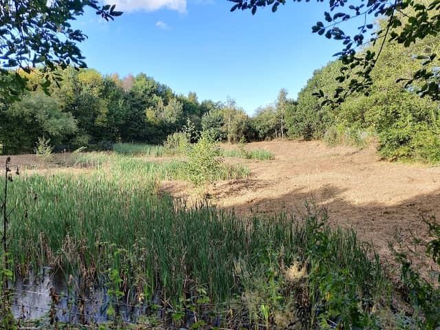 Standard Lagoons - Image 2