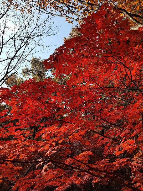 북한산 행궁지 - Image 1