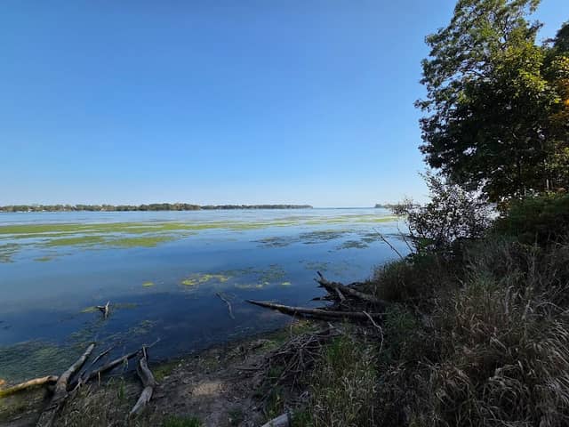 Humbug Marsh Unit National Wildlife Refuge - Image 2