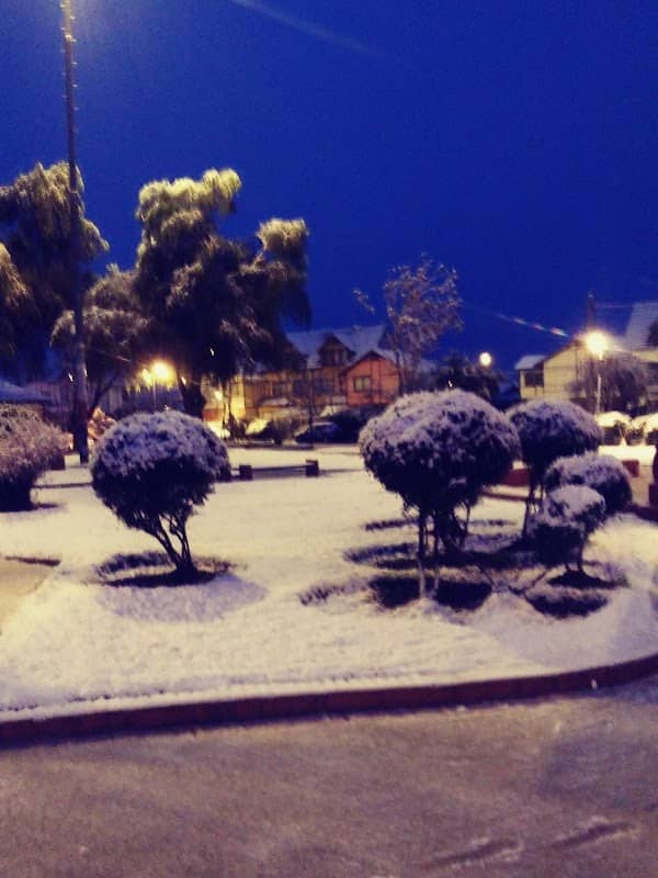 Plaza El Bambú - Image 2
