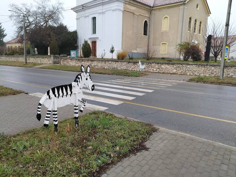 Zebra-zebra - Image 1