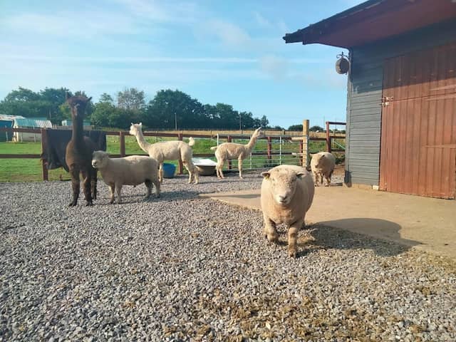 Brynteg Farm and Wellbeing Sanctuary - Image 1