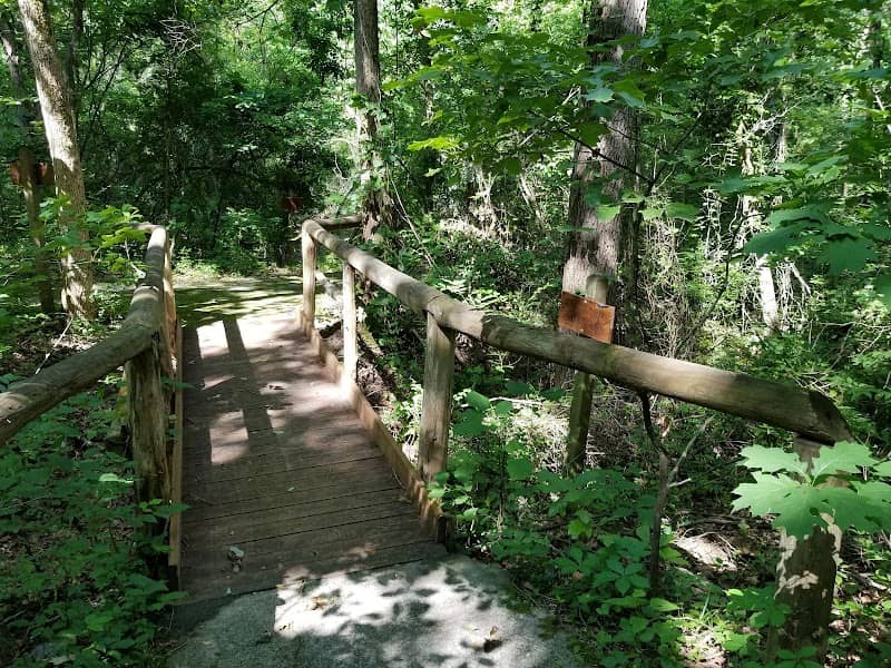 Koen Interpretive Trail - Image 1