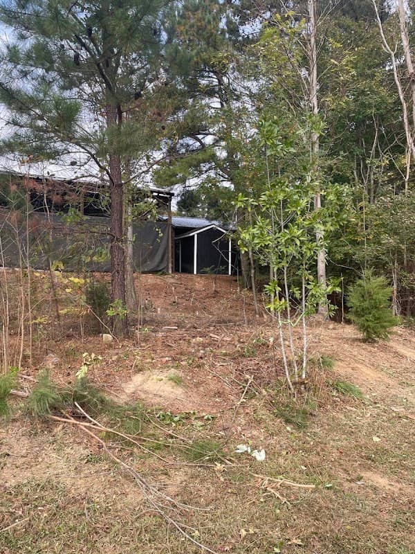 Jolly Branch Park - Image 2