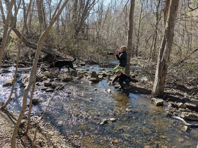 Trout Brook Nature Area - Image 2