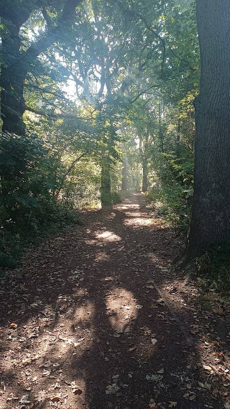 Northbrook park - Image 2