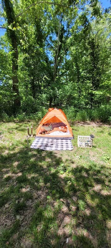 Helds Island Access Conservation Area - Image 2
