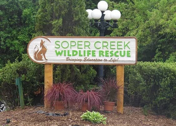 Soper Creek Wildlife Rescue - Image 1